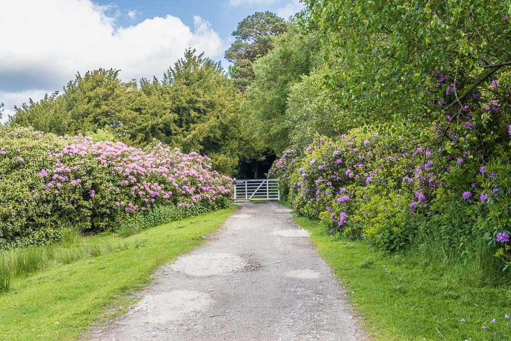 Longshaw Longshaw